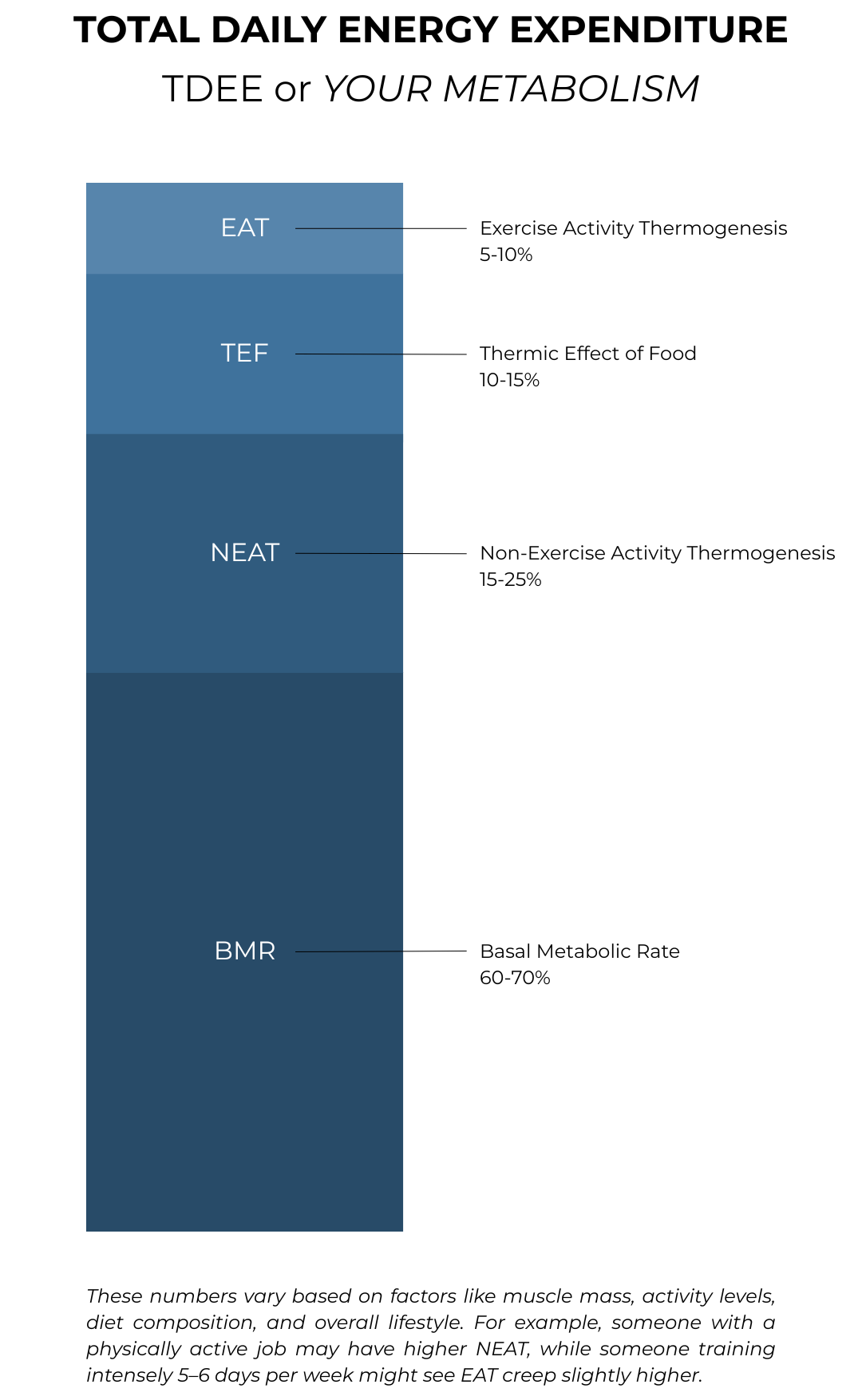 what really happens to your metabolism